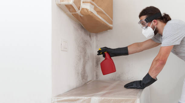 Professional Attic Mold Remediation technician working in Williamston, NC