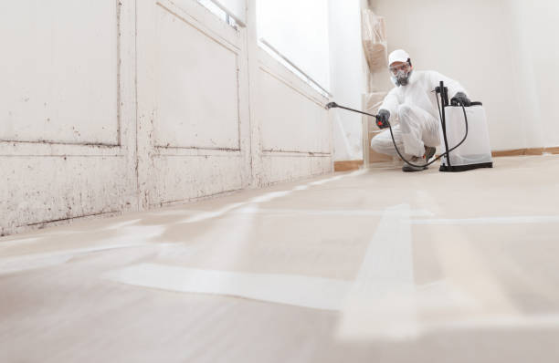 24/7 Emergency Attic Mold Remediation experts in Williamston, NC